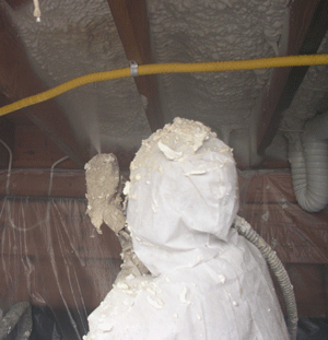 Lafayette LA crawl space insulation